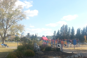 queen elizabeth school Playground